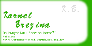 kornel brezina business card